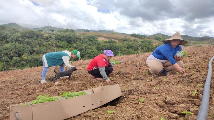 A través de alianzas productivas se promueven programas agropecuarios en zona rural de Ocaña.