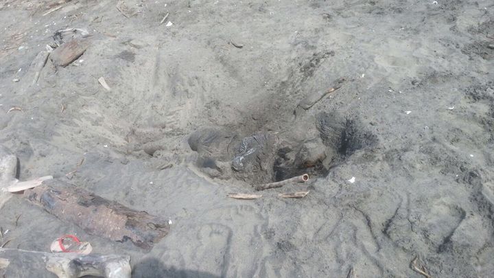 Encuentran cuerpo de mujer enterrado en el patio de una casa en Atlántico