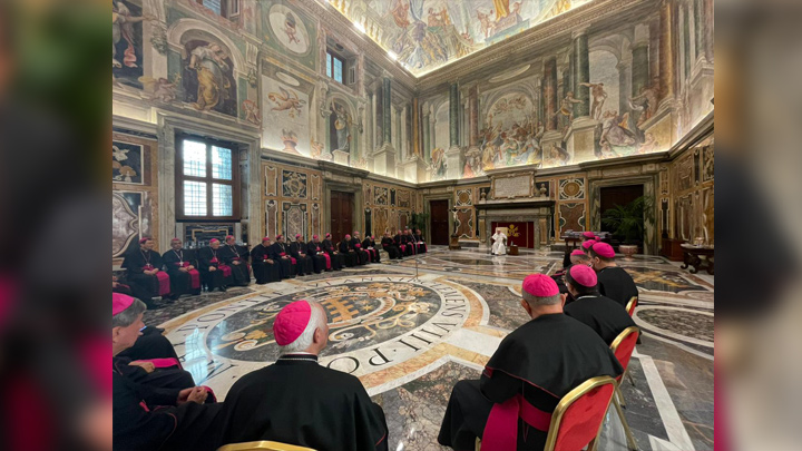 Los obispos presentaron un panorama de la iglesia católica. 