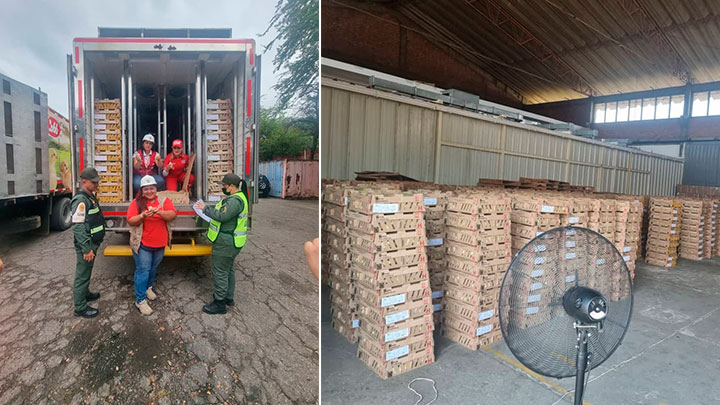 Empresario venezolano ha importado tres cargamentos de pollos desde Cundinamarca. /  Foto Cortesía