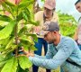 Campesinos reciben la transferencia de conocimiento sobre el cacao en sus parcelas/Foto Cortesía