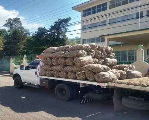 Cargamento de papa colombiana fue detectado en plena zona productora del Táchira. Fotos cortesía / La Opinión 