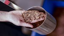 Granos-de-cacao. / Foto: AFP