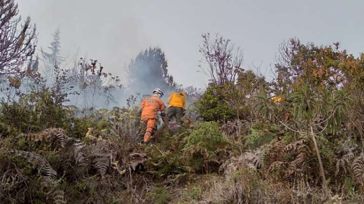 Los organismos de socorro controlaron el incendio en zona rural de Pamplona./ Foto: cortesía.  