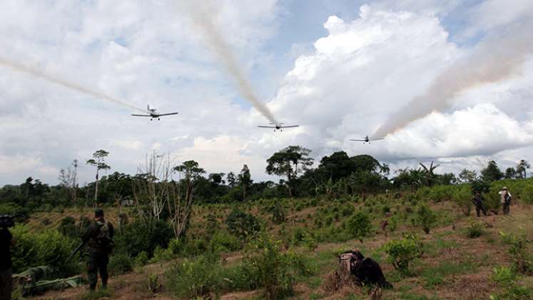 Según el ministro de Justicia, Wilson Ruiz, la fumigación con glifosato debe iniciarse con los cultivos ilícitos del Catatumbo y Norte de Santander. Foto:Colprensa