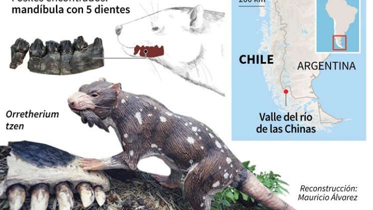 El animal vivió en La Patagonia. / Foto: AFP