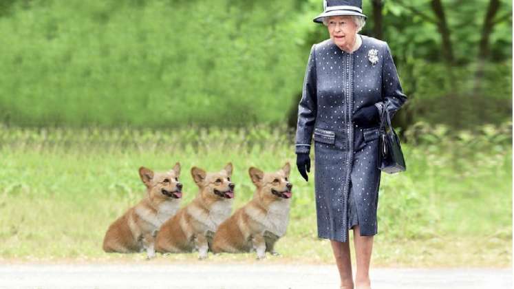 La reina Isabel II 'devastada' por la muerte de sus cachorros
