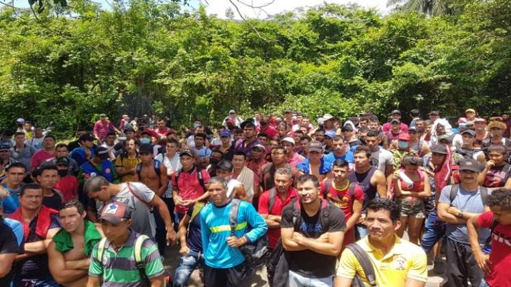 Arroceros y campesinos del Catatumbo piden atención inmediata del Gobierno Nacional./Foto: suministrada