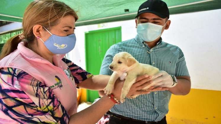 El alcalde de Los Patio, José Miguel Bonilla invitó a la comunidad a llevar a sus mascotas a esta jornada./Foto: cortesía