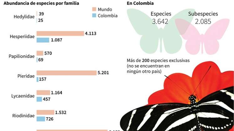 Cifras de mariposas en Colombia