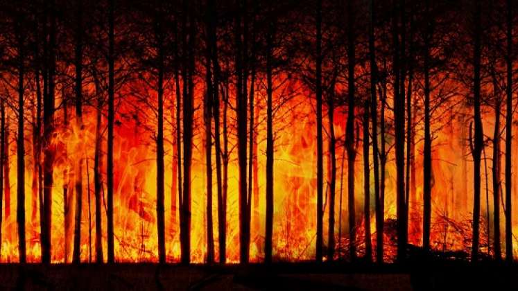 La resequedad origina incendios forestales