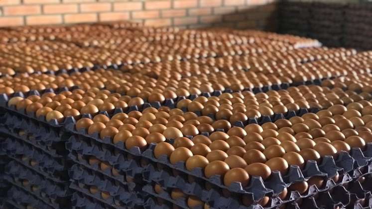 El valor del huevo y del pollo puede variar, dependiendo de en dónde se adquiera y la cantidad de intermediarios que haya entre el comprador y el productor. /Foto: Cortesía/ La Opinión 
