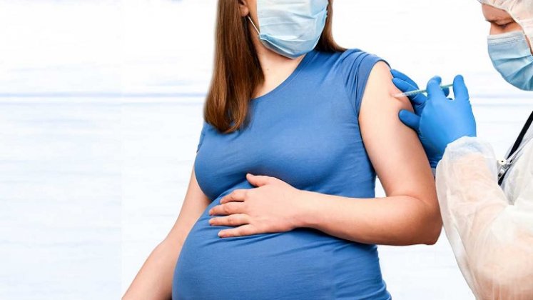 Vacunas para mujeres gestantes entre las 12 semanas y 40 días de postparto. / Cortesía/ La Opinión 