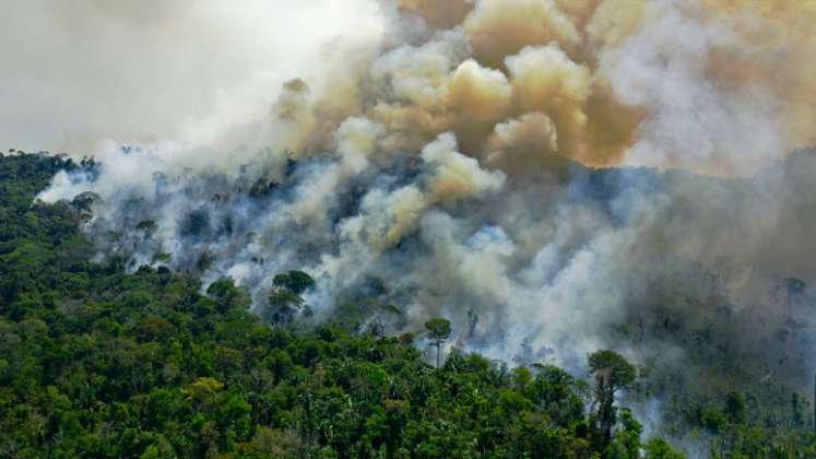 Las principales causas de deforestación son el acaparamiento ilegal de tierras para ganadería extensiva y la construcción de vías clandestinas que atraviesan la Amazonía. / AFP