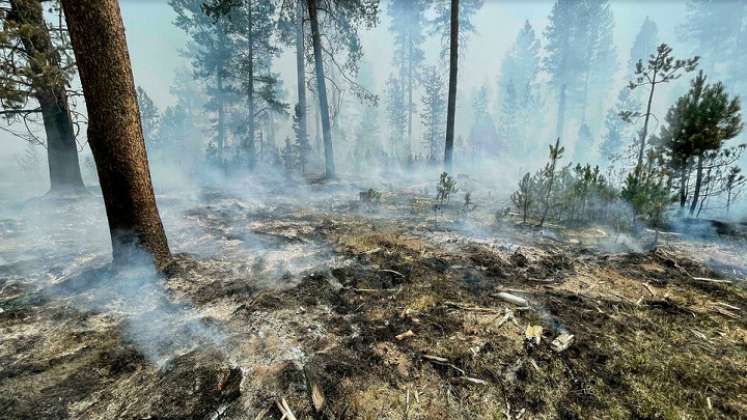 Gran incendio forestal crece en EE. UU. y obliga a nuevas evacuaciones./Foto: AFP