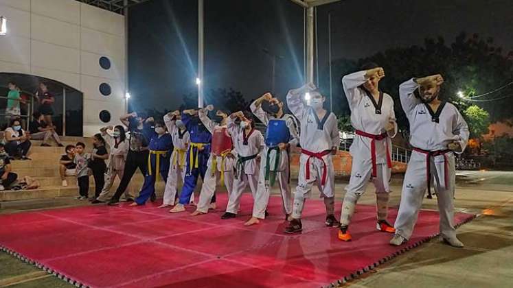 Las técnicas del taekwondo tienen alguna similitud  con otras artes marciales