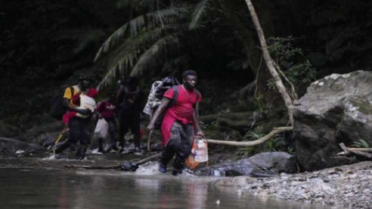 Hallan diez cadáveres de posibles migrantes en la selva./Foto: internet