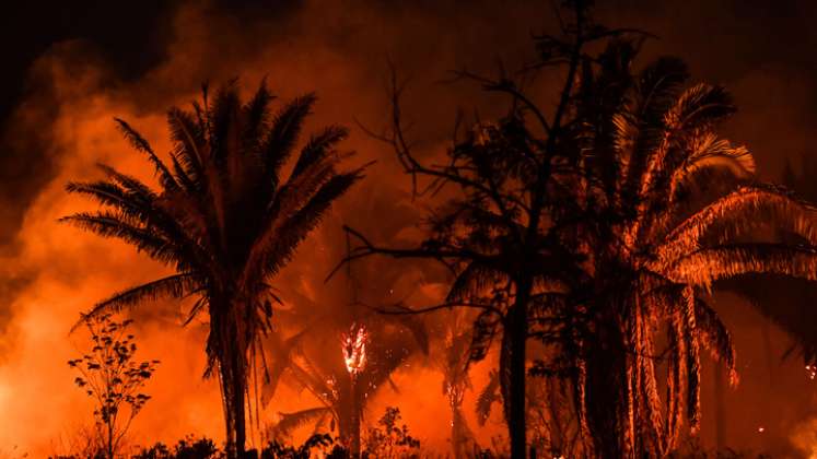 Los incendios en la Amazonía brasileña cuando comenzó la temporada de incendios se mantuvo cerca de los máximos de casi una década. / Foto: AFP