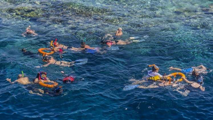 turistas que bucean y nadan en medio de los corales en peligro- /AFP