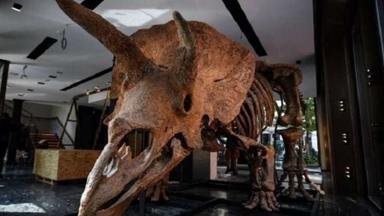 Millonaria subasta de un esqueleto de dinosaurio./Foto: AFP