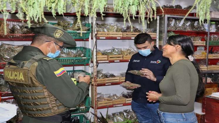 Una campaña para evitar el uso del musgo en las decoraciones navideñas adelantan las autoridades ambientales en Ocaña.