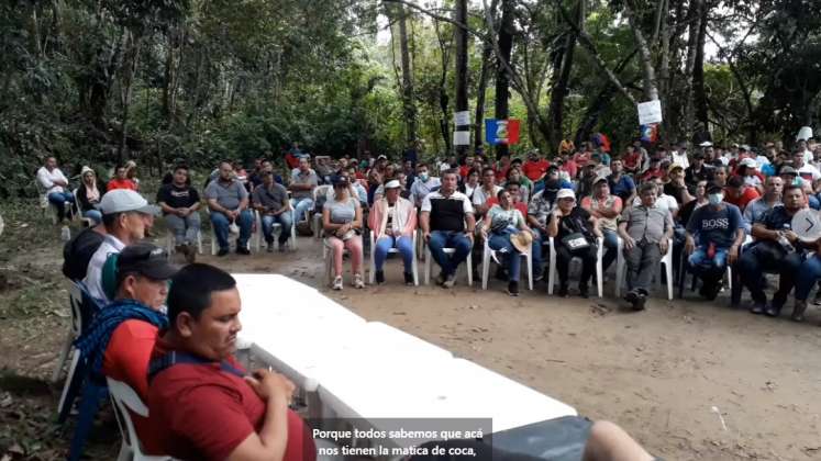 Campesinos cultivadores de coca vendrán el viernes a Cúcuta a hablar con el Gobierno Nacional./Foto cortesía