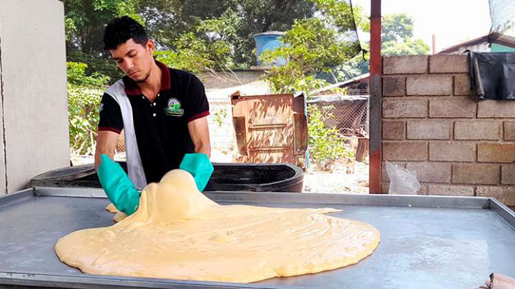 Producción de queso ha descendido un 50% en Táchira