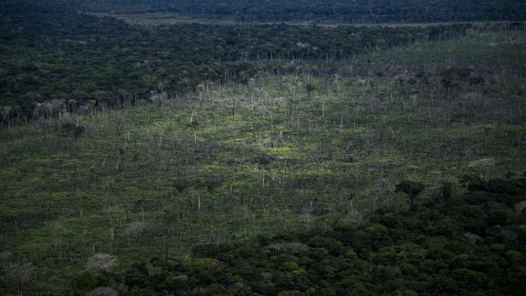 Deforestación amenaza la Amazonía. / Foto: AFP
