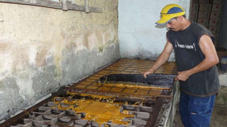 Los cañicultores de la provincia de Ocaña trabajan a pérdida por el vaivén de los mercados y la competencia de los edulcorantes a nivel nacional. / Foto: Cortesía / La Opinión 