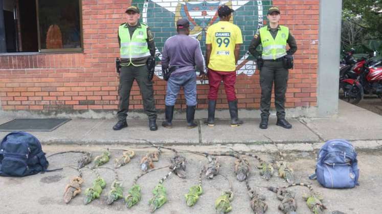Capturan a dos hombres con 19 iguanas que iban a ser vendidas para el consumo humano
