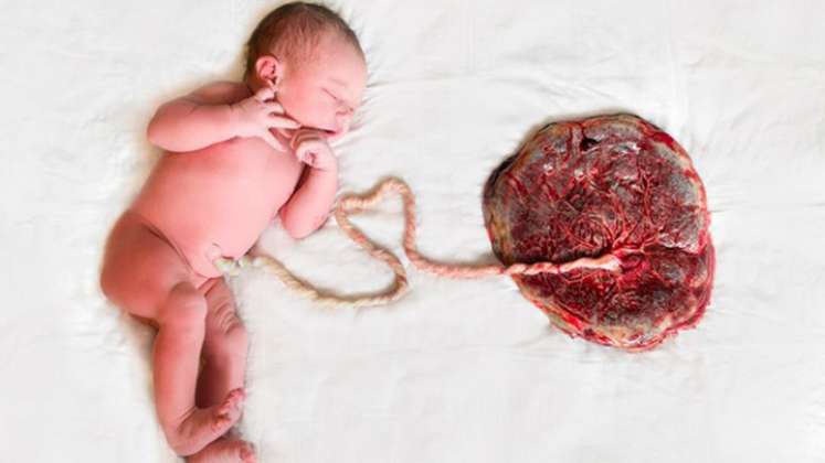 ¿Qué pasa si se come la placenta después del parto?