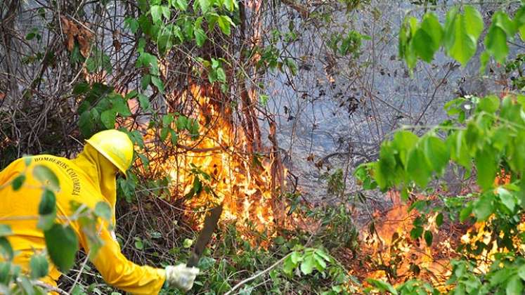 Bomberos de Cúcuta apagan un incendio forestal/Foto archivo
