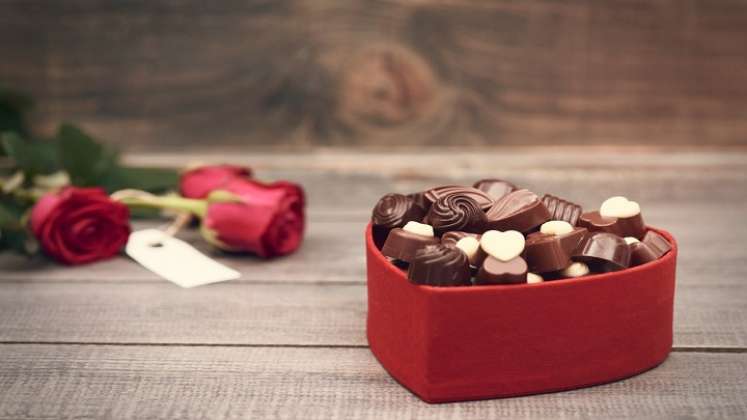 Chocolates. / Foto: Cortesía