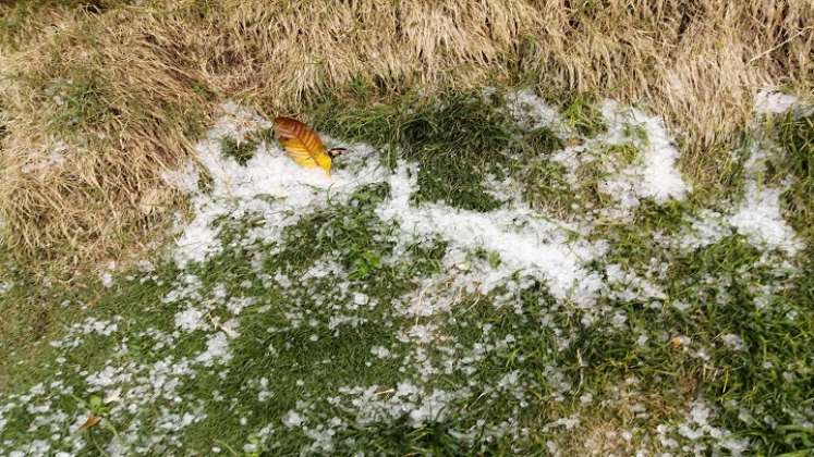 Vientos huracanados acompañados de granizo afecta cultivos en zona rural de Ábrego.