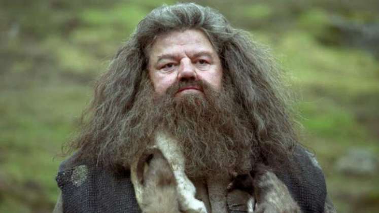 Falleció Robbie Coltrane, Hagrid en 'Harry Potter'./Foto: internet