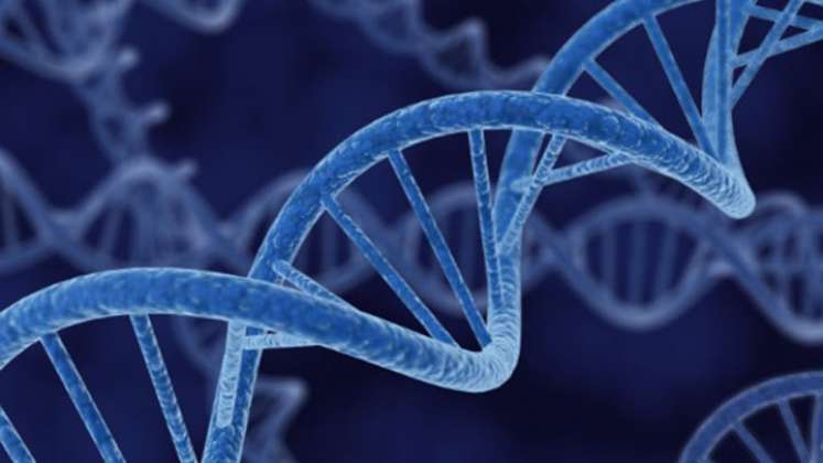 La genética describe 10.000 años de evolución de inmunidad humana./Foto: internet