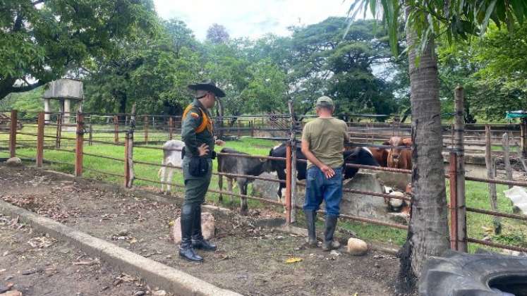 Tecnología facilita denuncias de ganaderos en Cúcuta