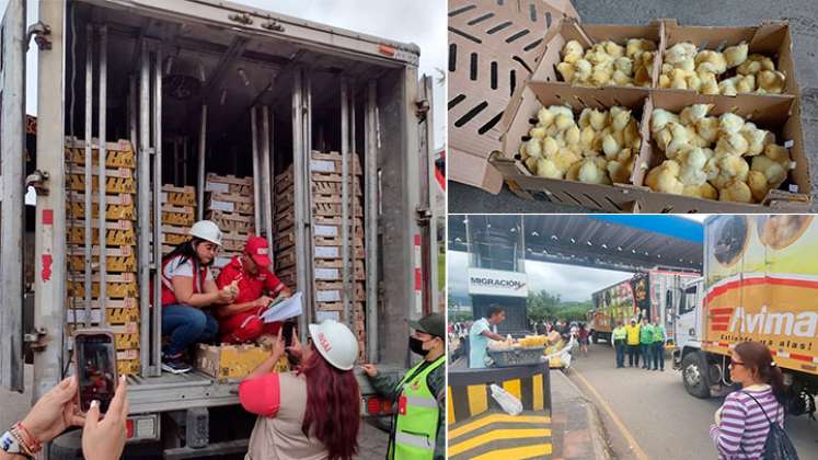 Primera exportación de pollos por Norte de Santander, luego de 7 años. / Foto: Cortesía