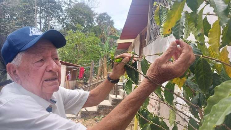 Una labor altruista desarrolla Moisés Quintero Gómez en la provincia de Ocaña y zona del Catatumbo por los programas agroecológicos a través del café. / Fotos: Javier Sarabia 