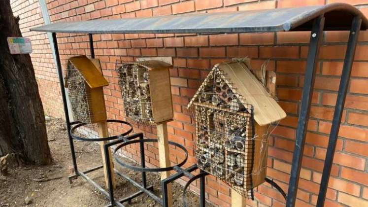 En estos espacios, las abejas podrán alimentarse, protegerse y reproducirse./ Fotos: Cortesía / La Opinión 