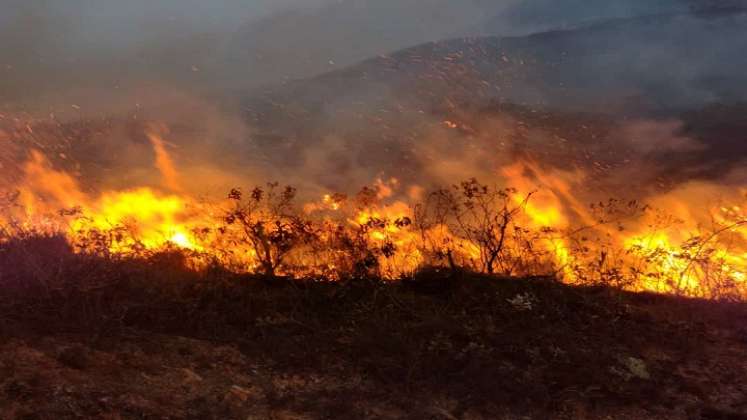 Unas 70 hectáreas de capa vegetal fueron quemadas por un incendio forestal en Ábrego.