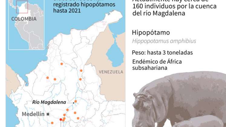 Hipopótamos registrados en Colombia