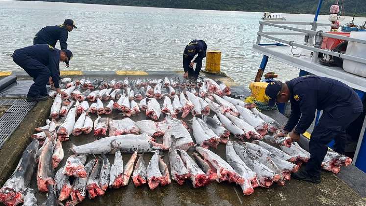 Pesca ilegal. / Foto: AFP