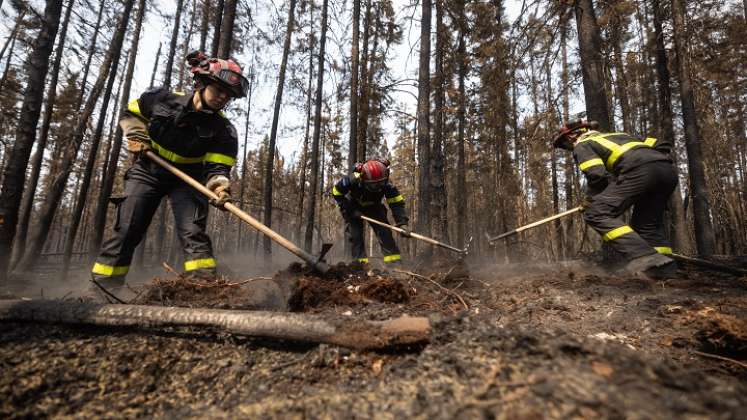 Incendios-Canadá. / Foto: AFP