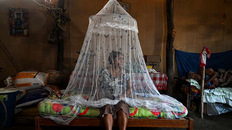 Perú, sumido en el peor brote de dengue de los últimos tiempos  