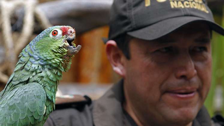 Narco zoológico en Ecuador