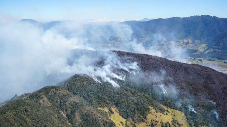 Se quemaron más de 160 hectáreas de cobertura vegetal en Pamplona.