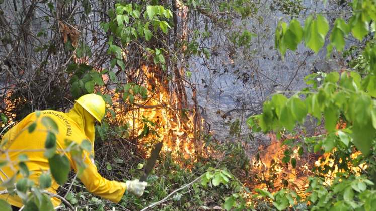 Según Corponor, entre 80 y 90 por ciento de los incendios forestales inician en quemas controladas.