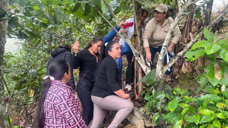Mujeres rurales lideran la cadena del Cacao en el Catatumbo. Desde sus prácticas y cosmovisión, mujeres de comunidad barí impulsan su empoderamiento productivo y económico./ Fotos: Cortesía / La Opinión 