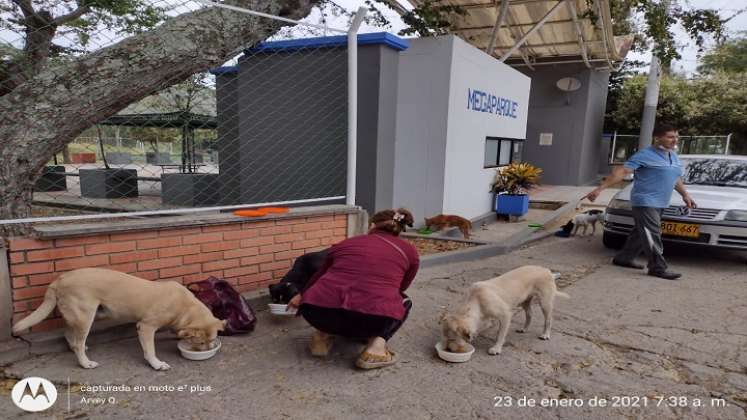 En Ocaña se promueve la Unidad de Bienestar Animal en condiciones de vulnerabilidad./ Javier Sarabia/La Opinión